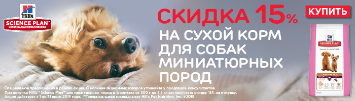 akcija-hills-skidka-15-na-suhoj-korm-dlja-sobak-miniaturnih-porod
