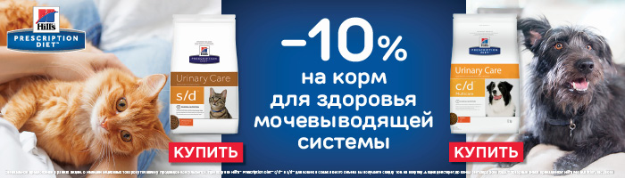 Hills akcija-c-d-i-s-d-dlja-koshek-i-sobak-korm-skidka-10