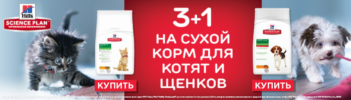 akcija-Hills-3-1-na-suhoj-korm-dlja-kotjat-i-schenkov