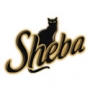Шеба (Sheba Pleasure)