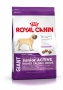 Royal Canin Giant Junior Active для щенков до 18/24 месяцев
