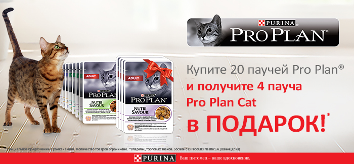 akcija-kupite-20-pauchej-Pro-Plan-dlja-koshek-i-kotjat-poluchite-4-paucha-v-podarok