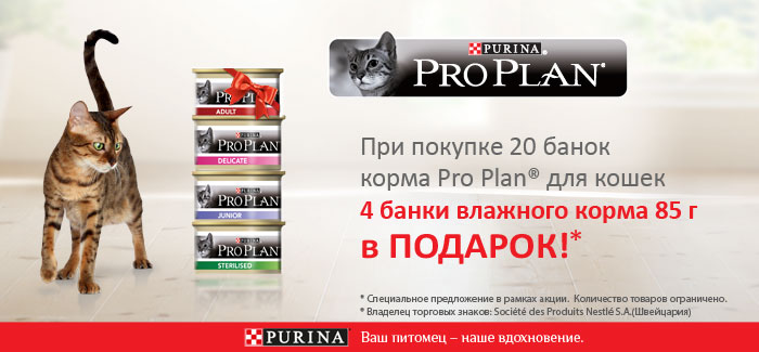 pro-plan-cat-can-20-4-akcija